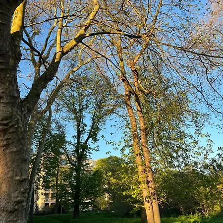 아파트 Dans Le Quartier Luxe *