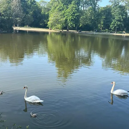 Dans Le Quartier Luxe