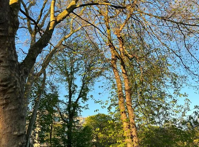 Appartement Dans Le Quartier Luxe *