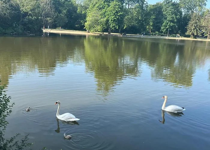 Dans Le Quartier Luxe